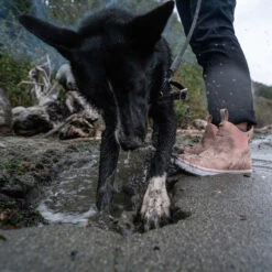 XTRATUF Ladies Waterproof Pink Cream Deck Boots XWAL-400 13 XTRATUF Ladies Waterproof Pink Cream Deck Boots XWAL-400 -Ariat XWAL400 9 EXTRALARGE