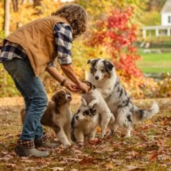 Muck Boot Company Muck Ladies Muckster II Mid Walnut Plaid Waterproof Boots WM2-9PLD 17 Muck Boot Company Muck Ladies Muckster II Mid Walnut Plaid Waterproof Boots WM2-9PLD -Ariat wm2 9PLD 2